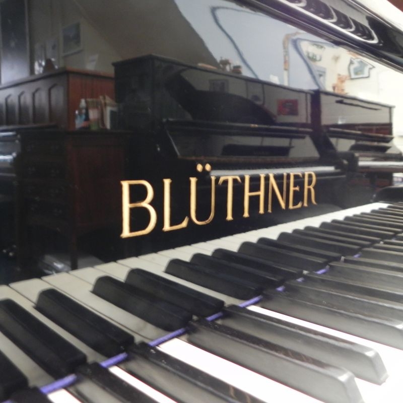 Bluthner Style VIII