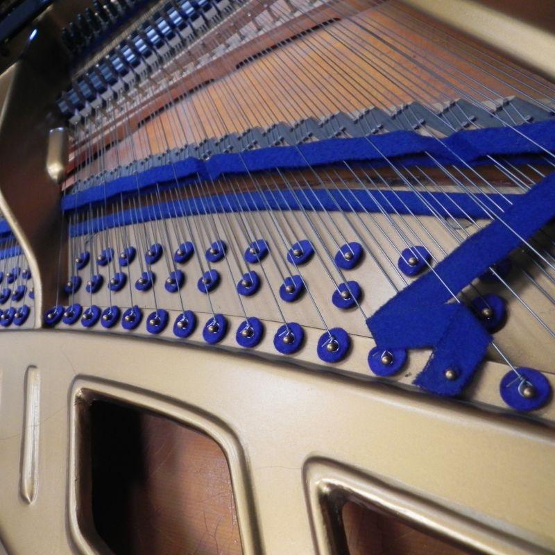 Bluthner Style VIII grand Piano in bright black – Gallery image – Roberts Pianos Oxford