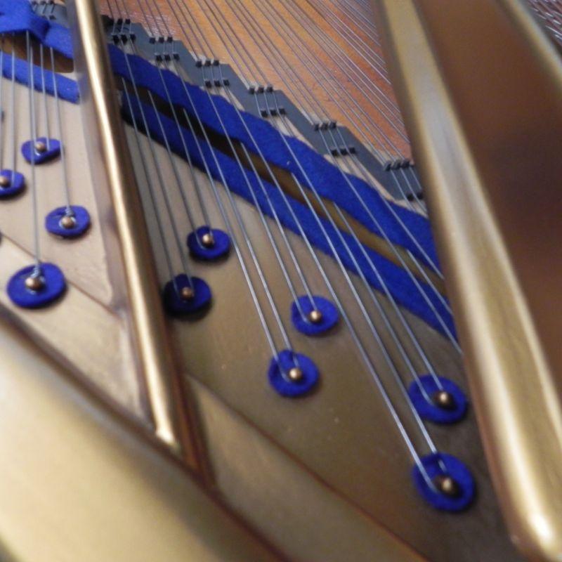 Bluthner Style VIII grand Piano in bright black – Gallery image – Roberts Pianos Oxford