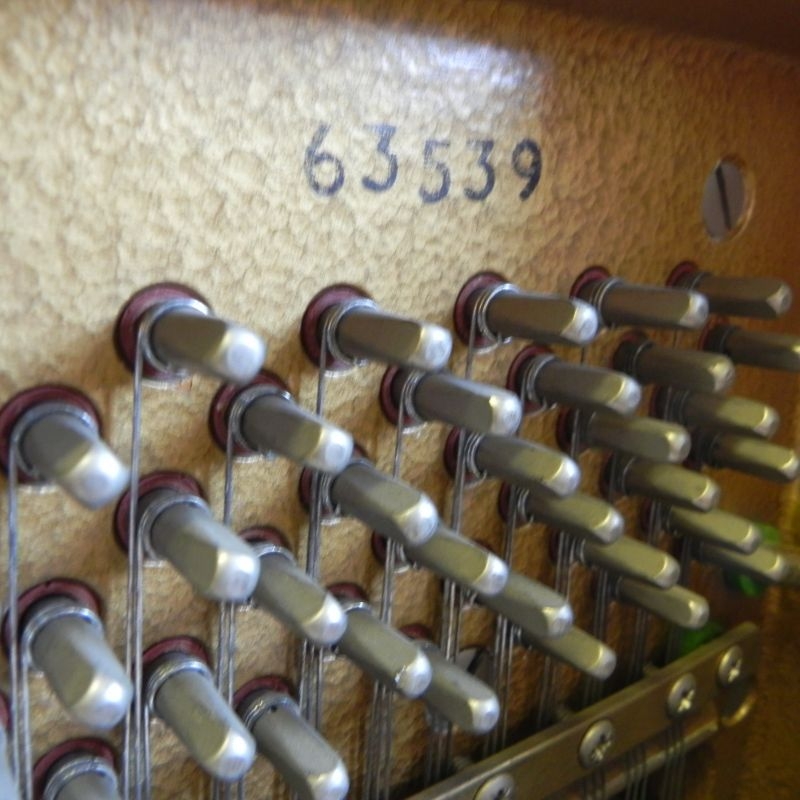 Knight K6
