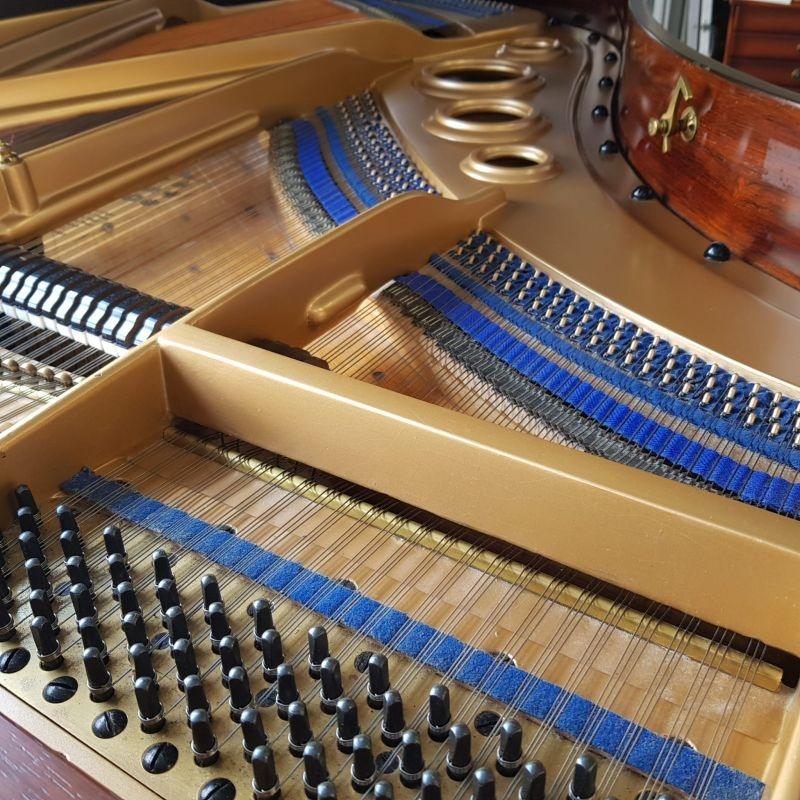 Bluthner V grand Piano in rosewood – Gallery image – Roberts Pianos Oxford