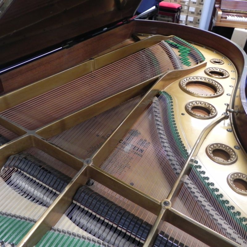 Bechstein C