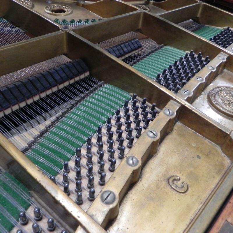 Bechstein C