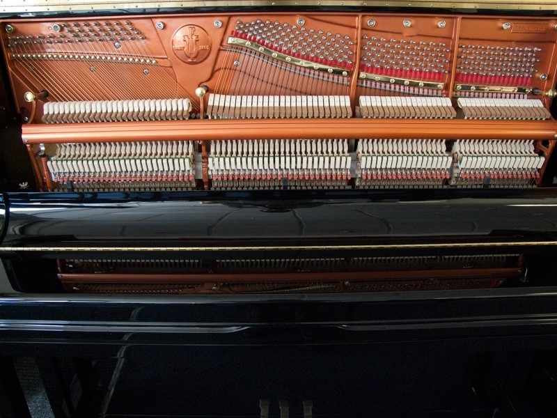 Feurich 133