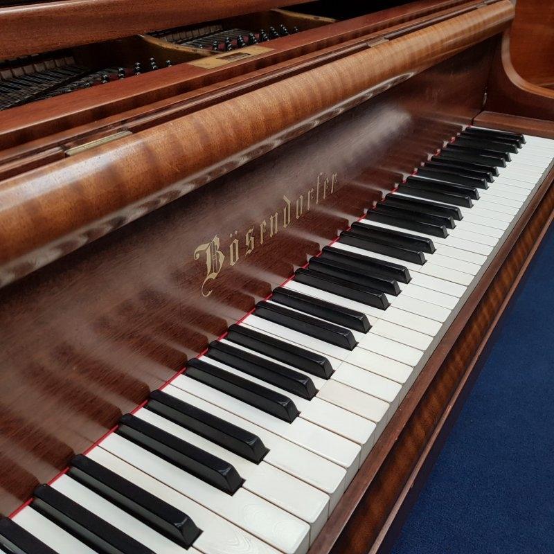 Bosendorfer 200 grand Piano in mahogany – Gallery image – Roberts Pianos Oxford