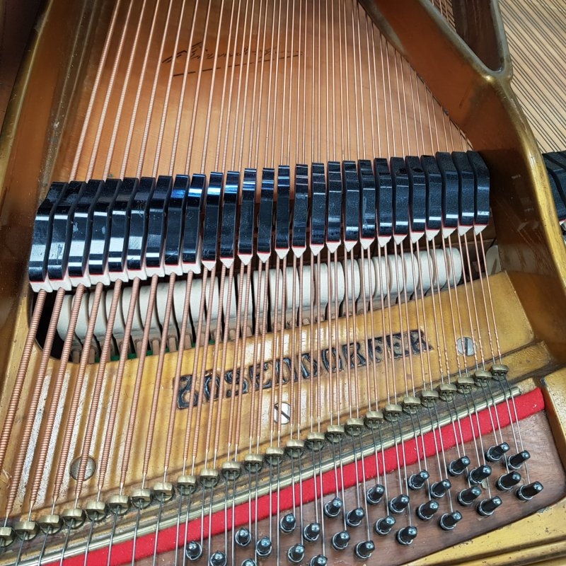 Bosendorfer 200