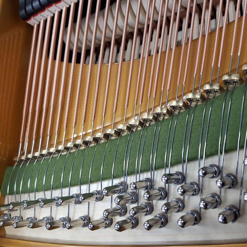 Bechstein Model V grand Piano in Bright black – Gallery image – Roberts Pianos Oxford