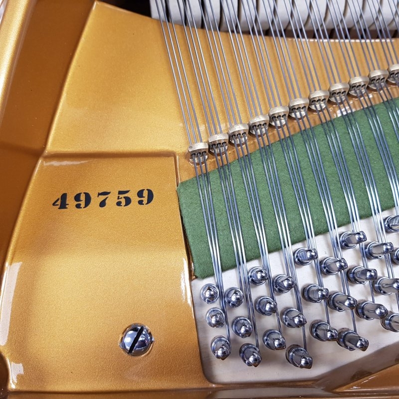 Bechstein model V