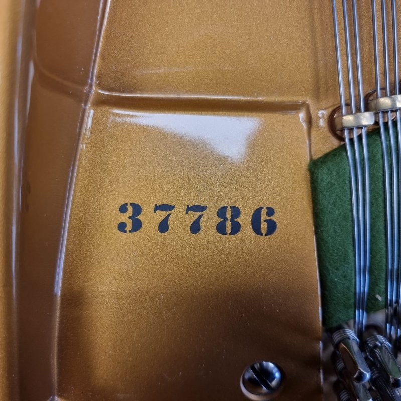 Bechstein model V