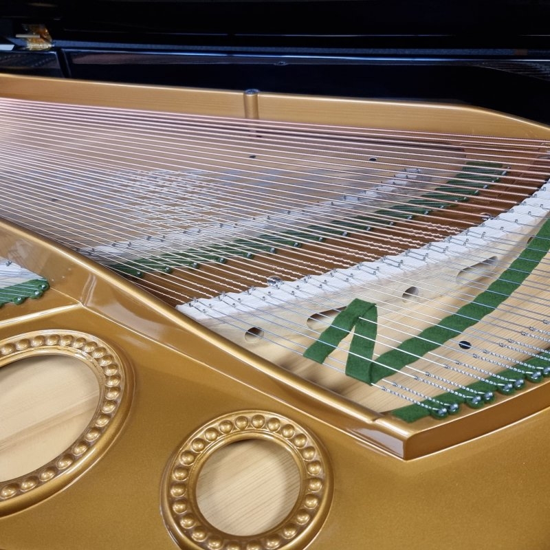 Bechstein model V