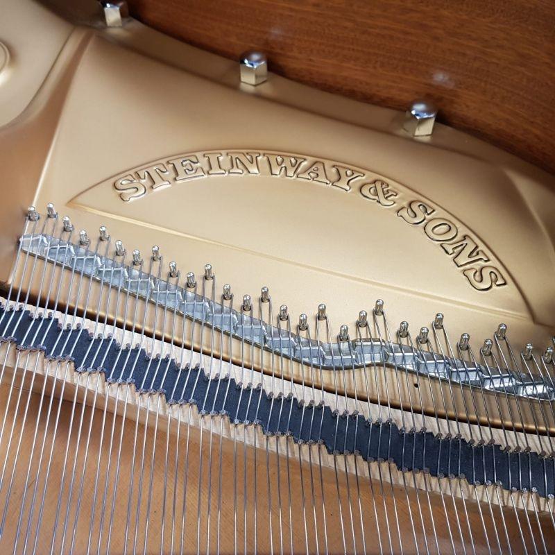 Steinway B grand Piano in bright black – Gallery image – Roberts Pianos Oxford