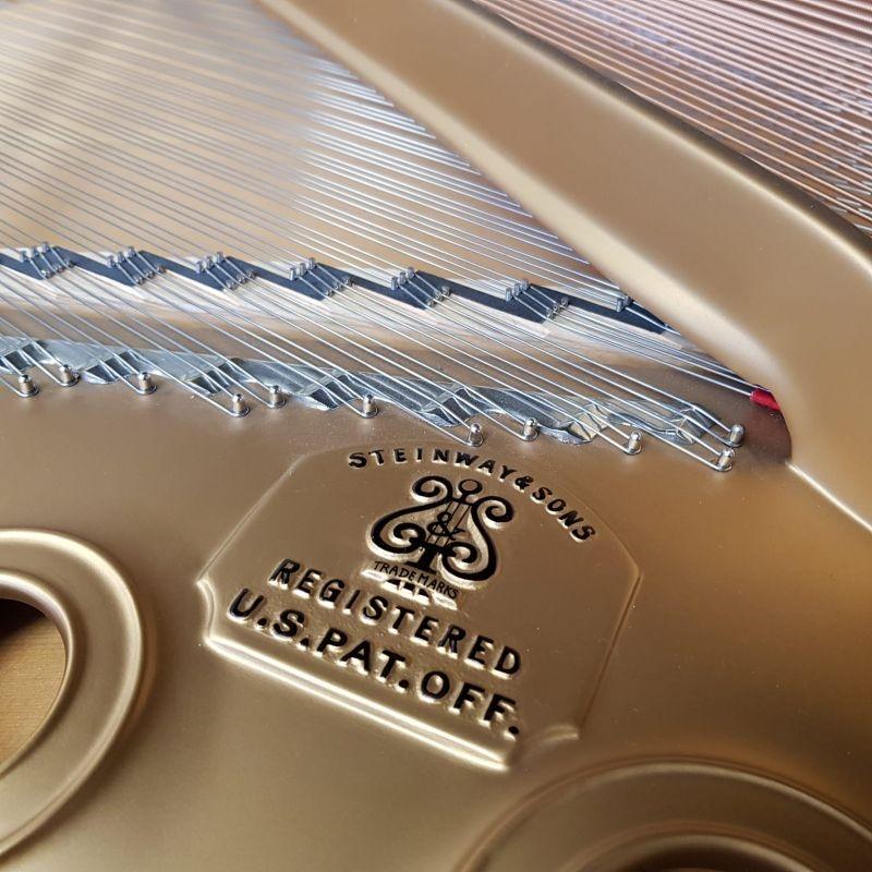 Steinway B grand Piano in bright black – Gallery image – Roberts Pianos Oxford