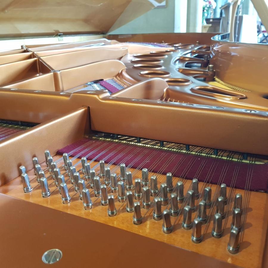 Bosendorfer Imperial grand Piano in dark walnut – Gallery image – Roberts Pianos Oxford