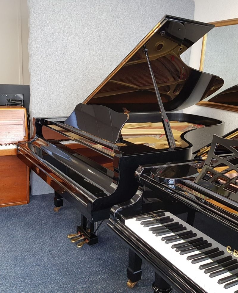 Yamaha C7