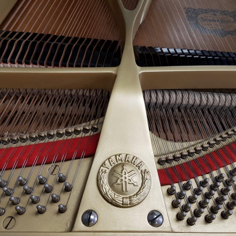 Yamaha C7