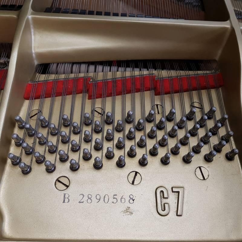 Yamaha C7