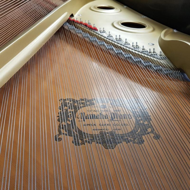 Yamaha C7