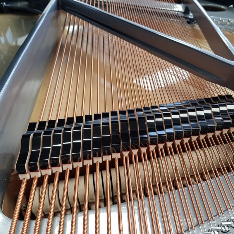 Feurich F179 Dynamic II