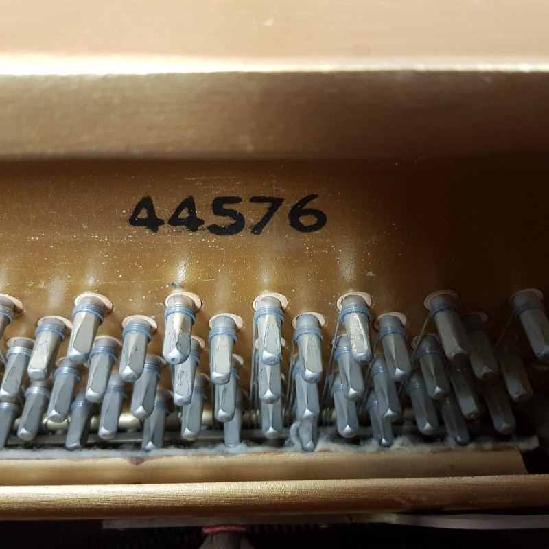 Knight K10 3 pedal