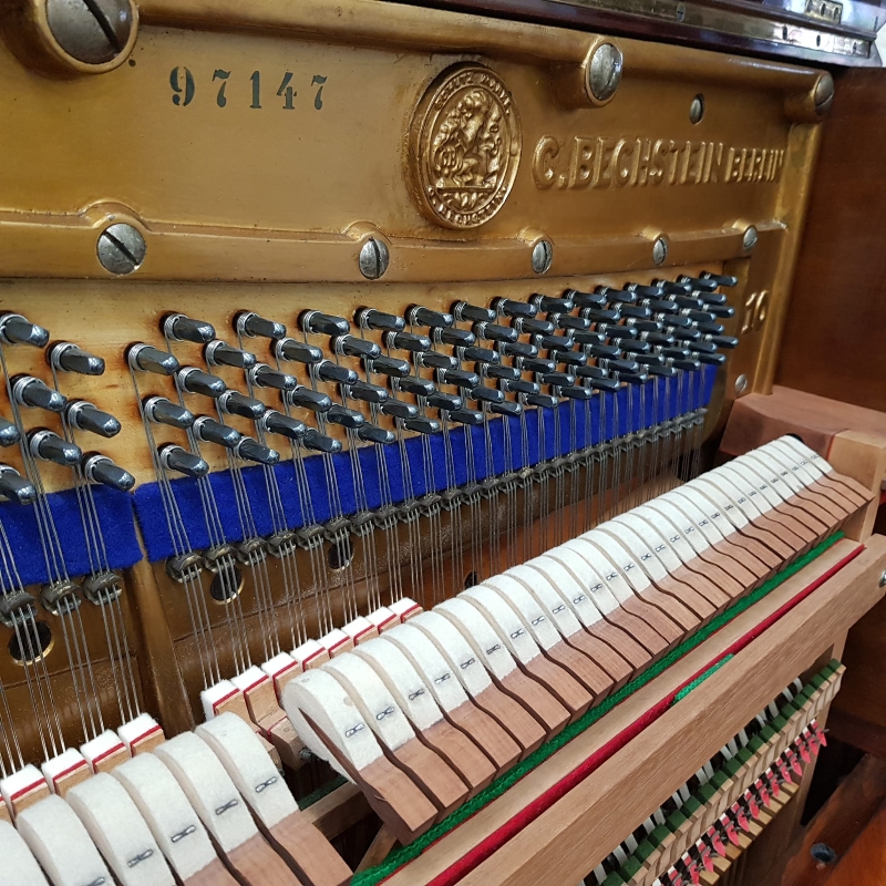 Bechstein 10