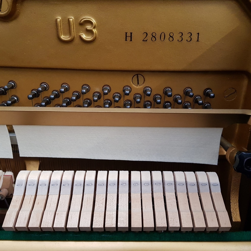 Yamaha U3H