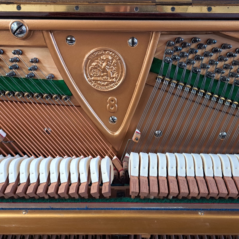 Bechstein 8