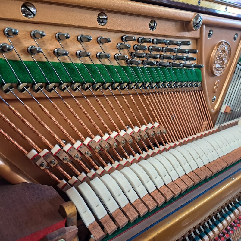 Bechstein 8