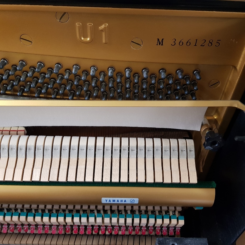 Yamaha U1M