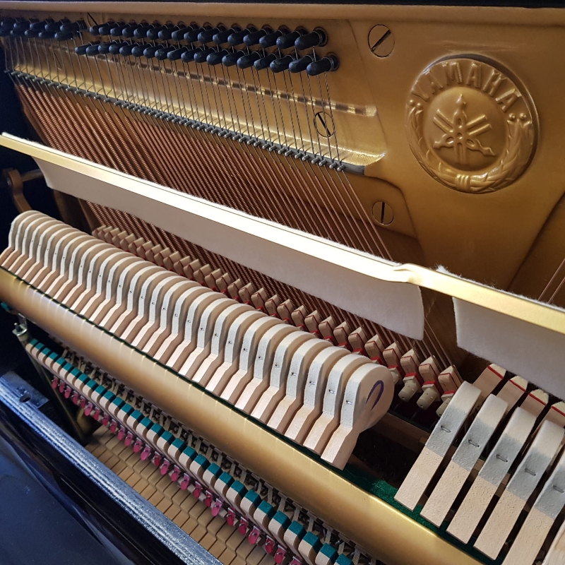 Yamaha U1M