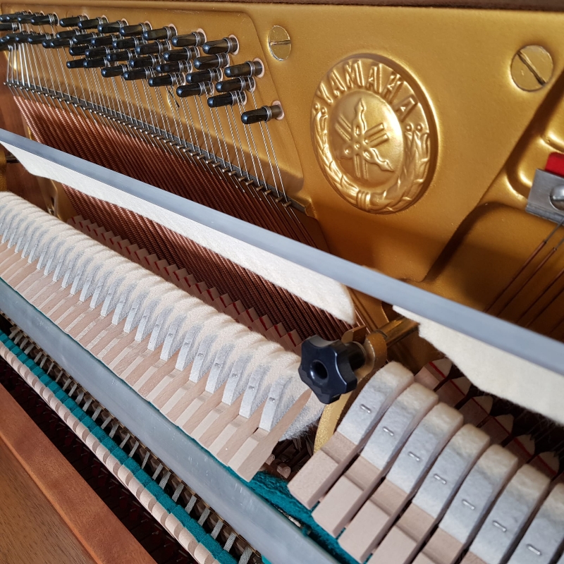 Yamaha C108