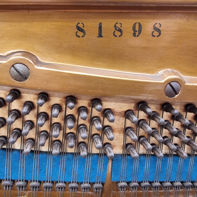 Bechstein 7