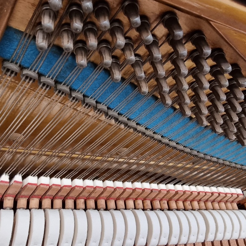 Bechstein 7