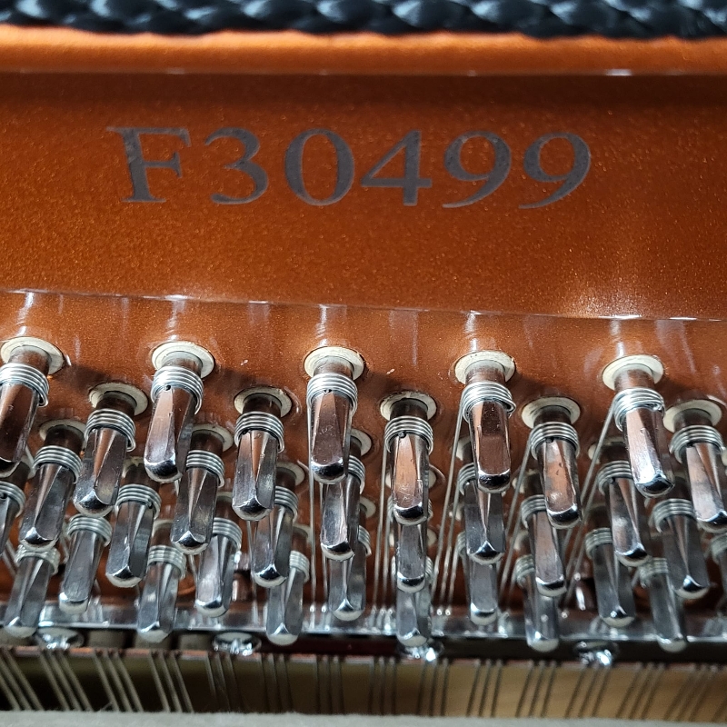 Feurich 122
