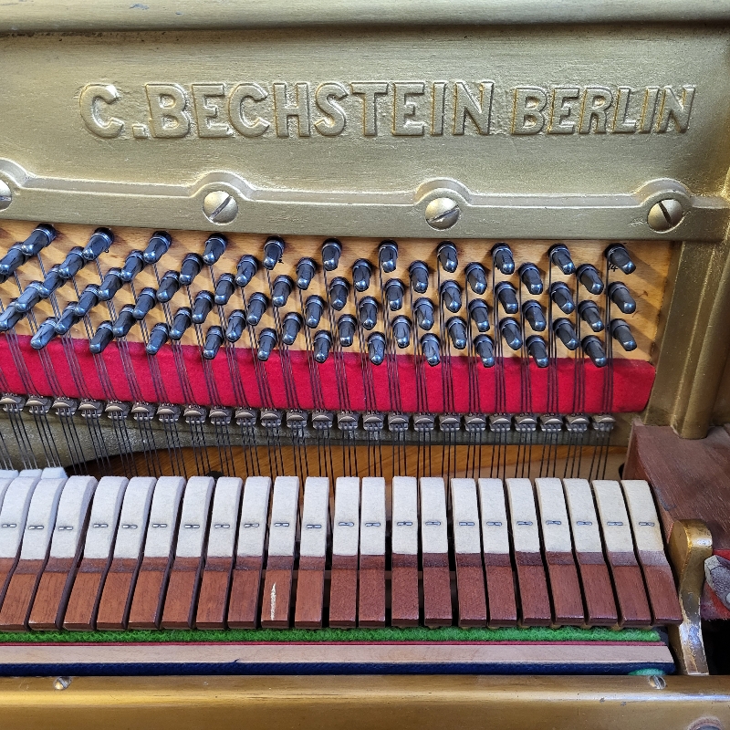 Bechstein 8