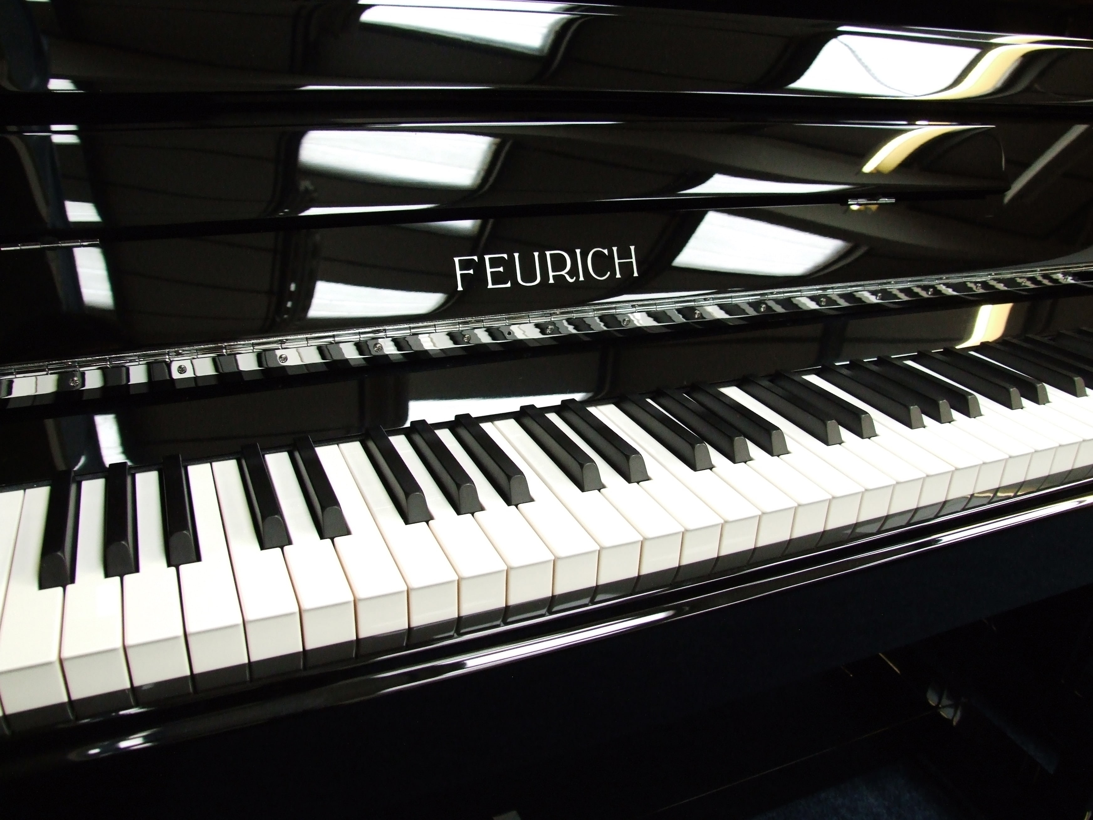 Feurich 122