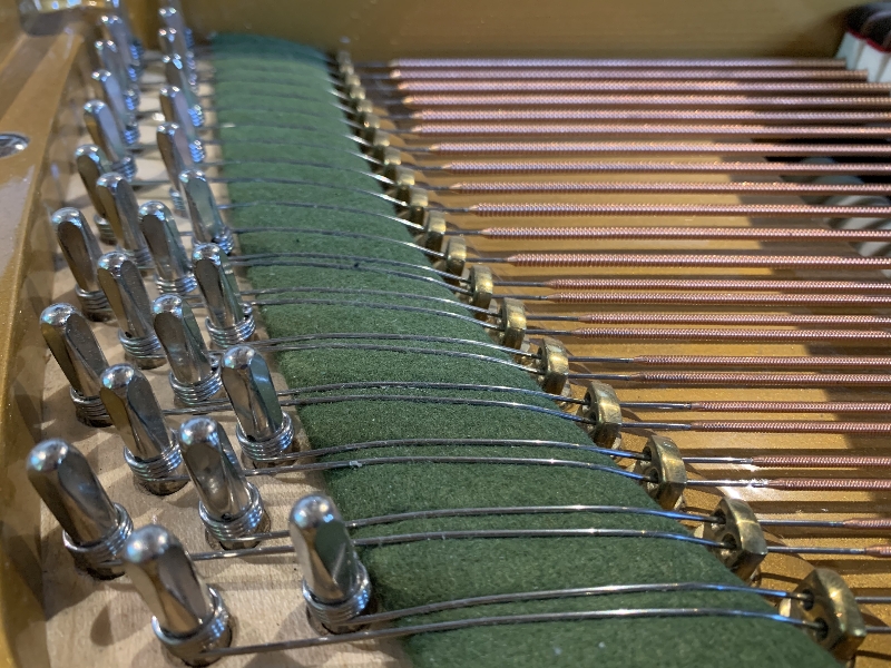 Bechstein III