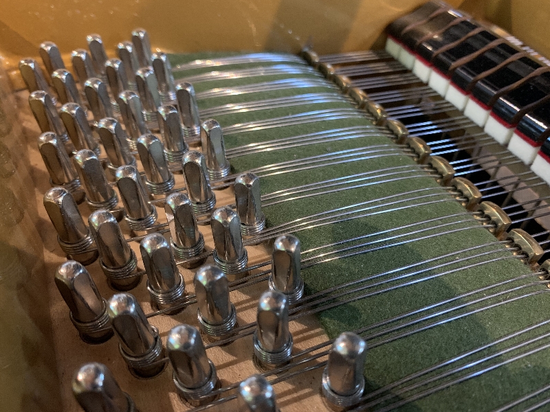 Bechstein III