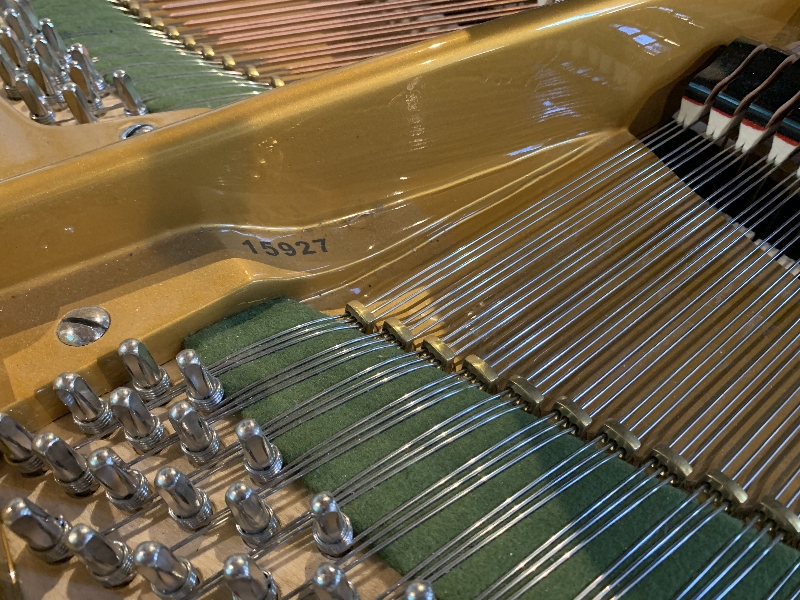 Bechstein III