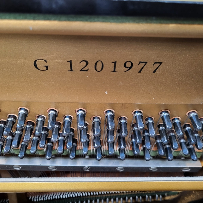 Yamaha U3G