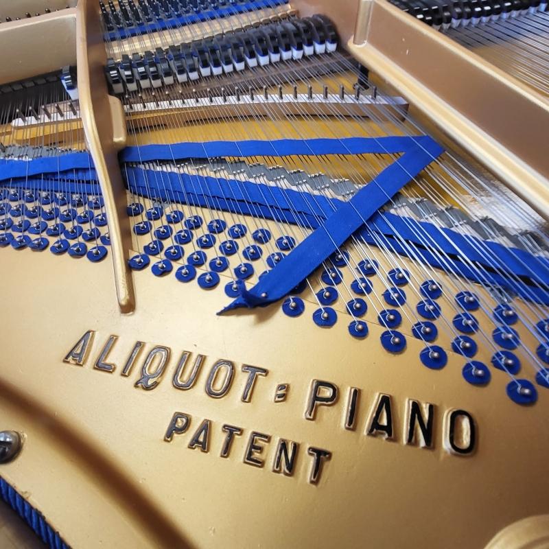 Bluthner VIII grand Piano in rosewood – Gallery image – Roberts Pianos Oxford