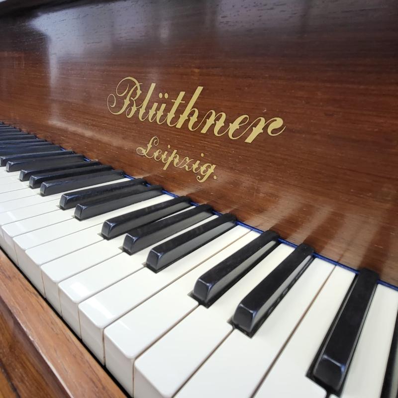 Bluthner VIII grand Piano in rosewood – Gallery image – Roberts Pianos Oxford