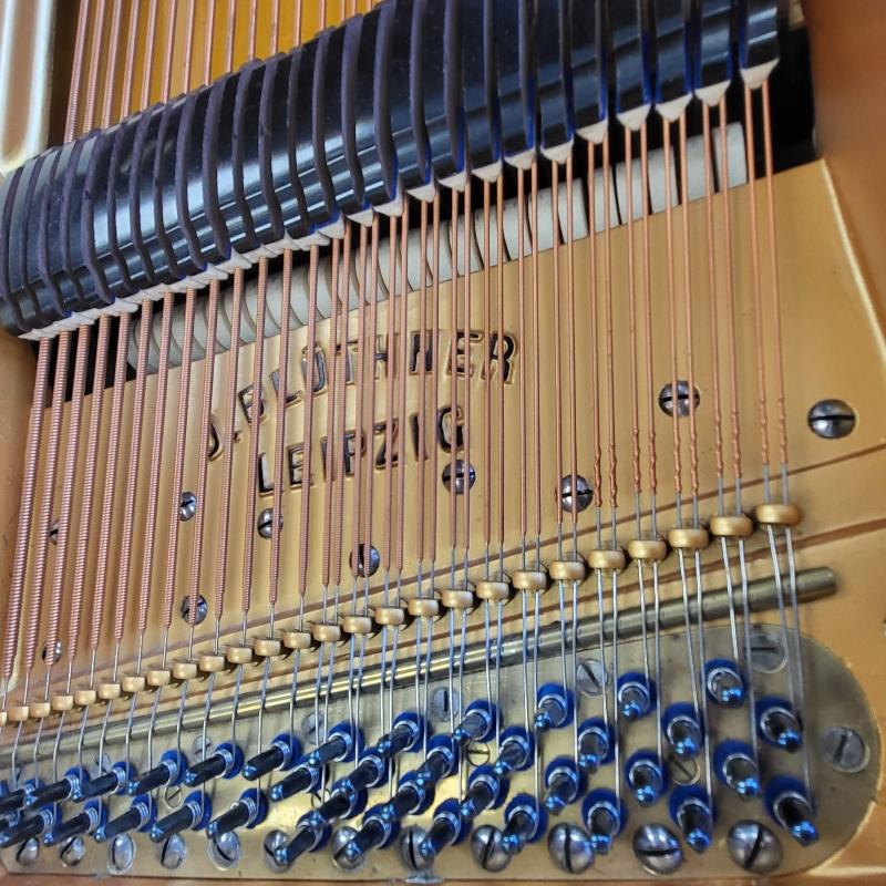 Bluthner VIII grand Piano in rosewood – Gallery image – Roberts Pianos Oxford