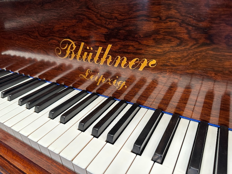 Bluthner Style VII