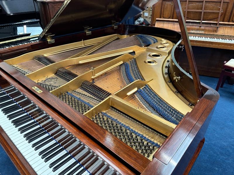 Bluthner style VII grand Piano in rosewood – Gallery image – Roberts Pianos Oxford