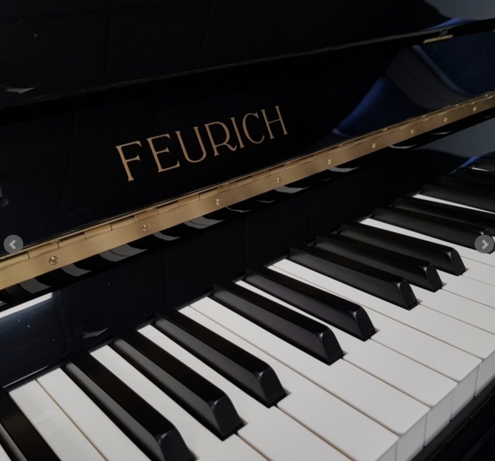 Feurich 122