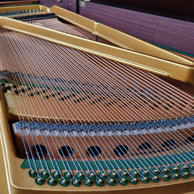 Bosendorfer 170