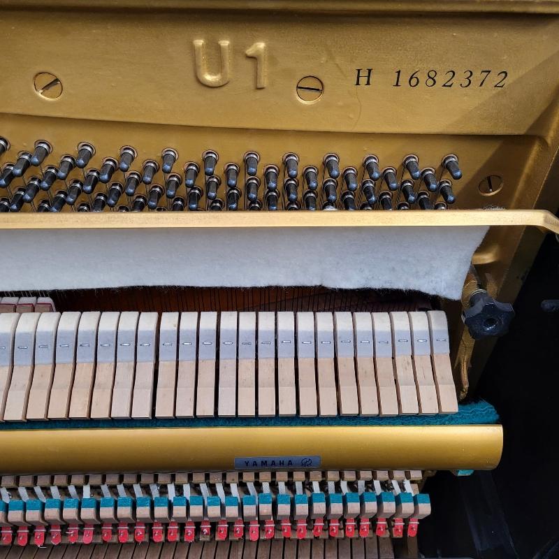 Yamaha U1H upright Piano in Bright black – Gallery image – Roberts Pianos Oxford