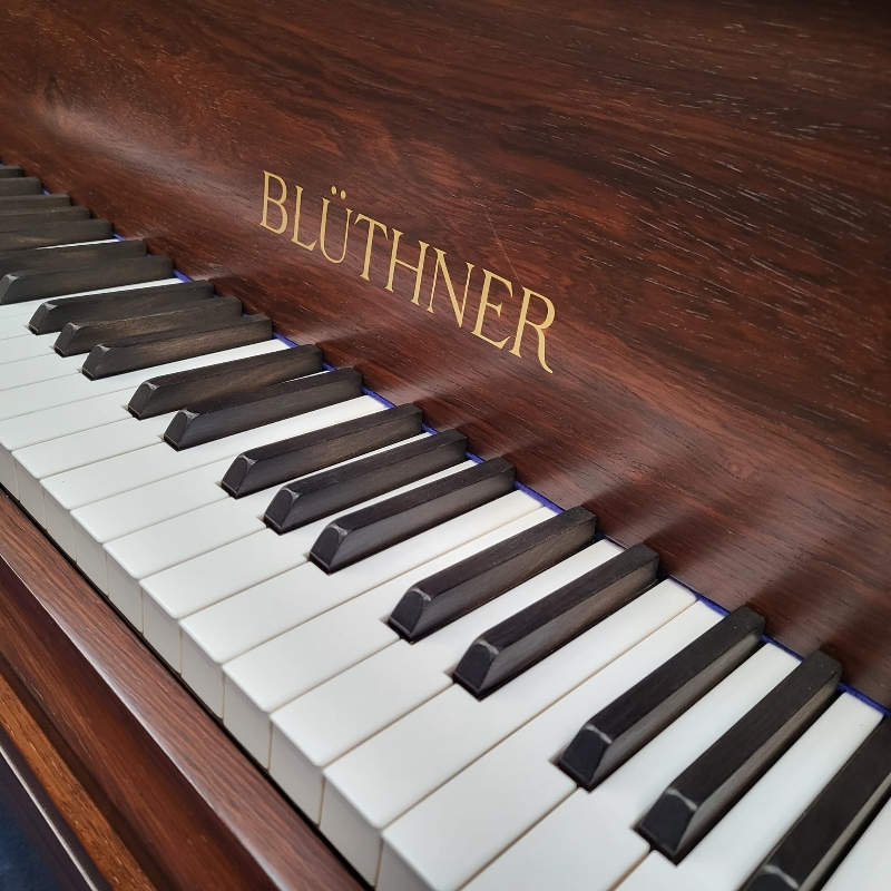 Bluthner VI