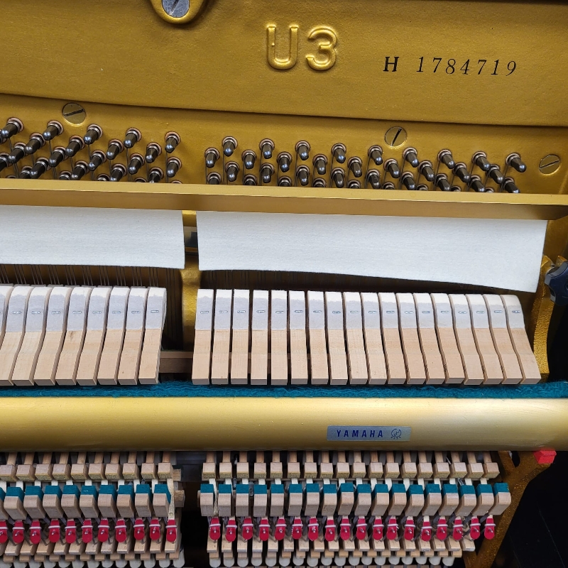 Yamaha U3H