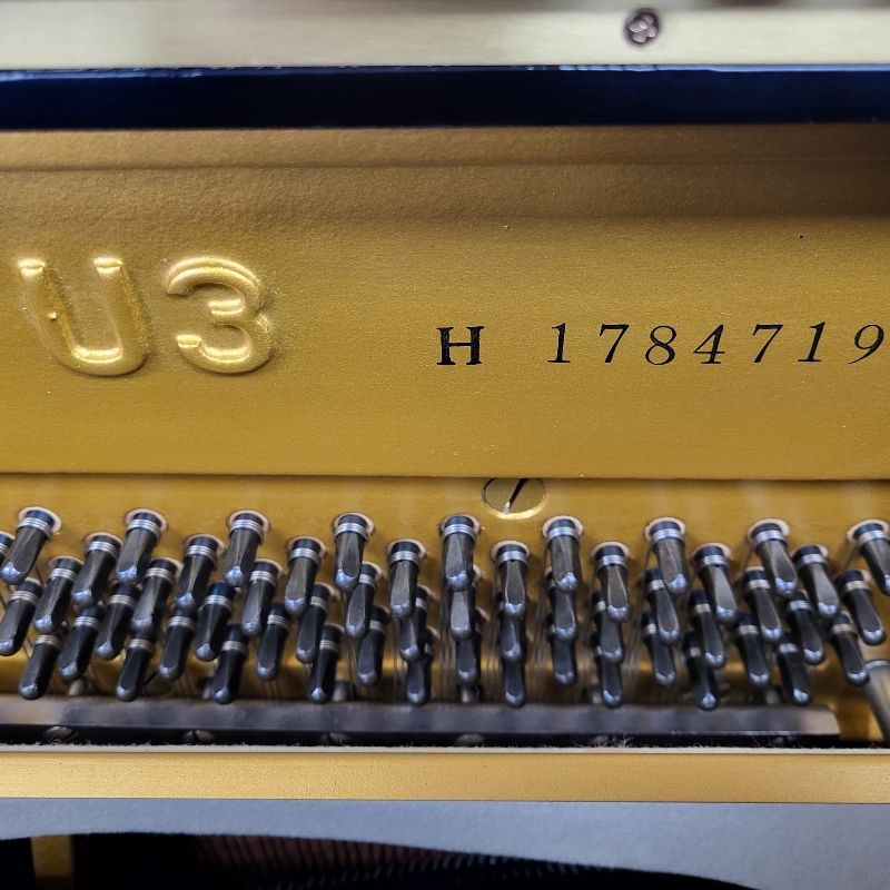 Yamaha U3H